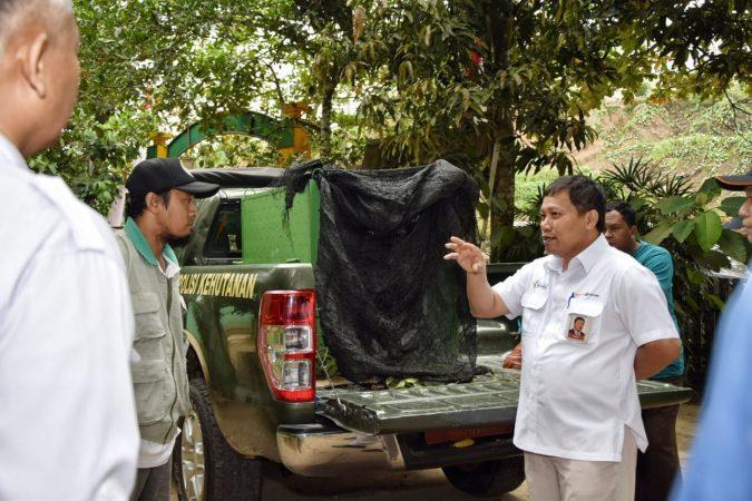 25af919d-bd55-4174-9af5-d31d3b16bf08