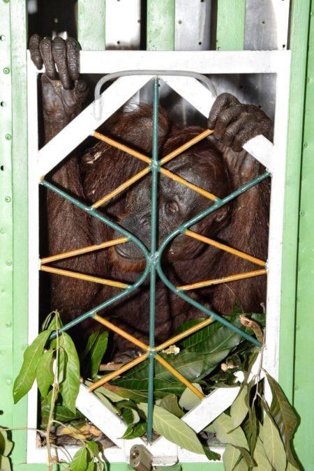 7fa8034d-ea91-4aef-be49-6a3d59aa36e6